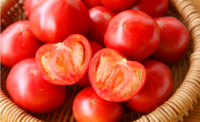 What Liquid Fertilizer Is Best for Tomatoes?.png