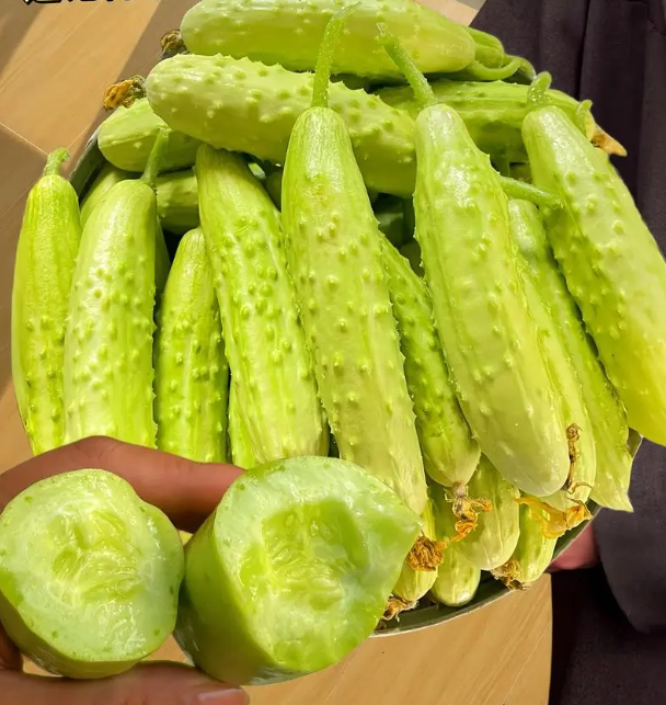 How Often Should I Water Cucumbers?.png